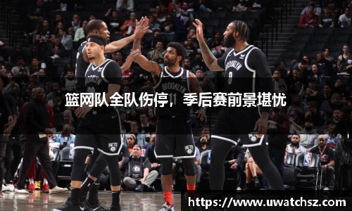篮网队全队伤停，季后赛前景堪忧
