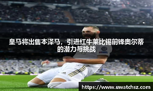 YY易游体育