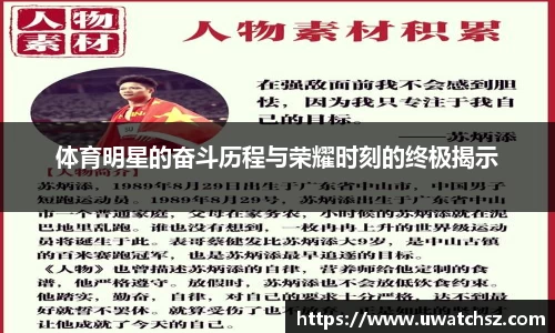 体育明星的奋斗历程与荣耀时刻的终极揭示