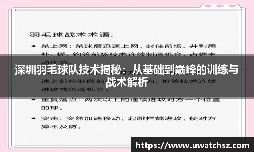 深圳羽毛球队技术揭秘：从基础到巅峰的训练与战术解析
