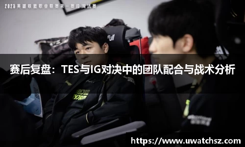 赛后复盘：TES与IG对决中的团队配合与战术分析