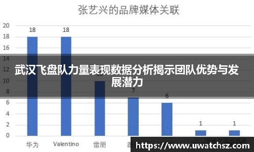 武汉飞盘队力量表现数据分析揭示团队优势与发展潜力