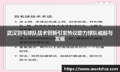 武汉羽毛球队战术创新引发热议助力球队崛起与发展
