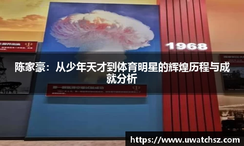 陈家豪：从少年天才到体育明星的辉煌历程与成就分析