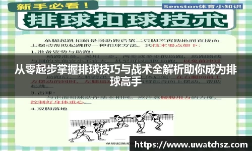 从零起步掌握排球技巧与战术全解析助你成为排球高手