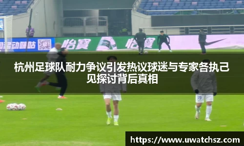 YY体育