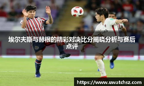 YY体育